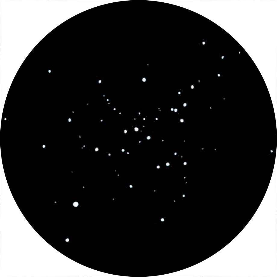 Illustrazione di Messier 41 con un Newton
da 8 pollici e ingrandimento 40x. Michael Vlasov