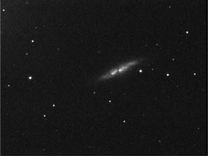 M82 M82